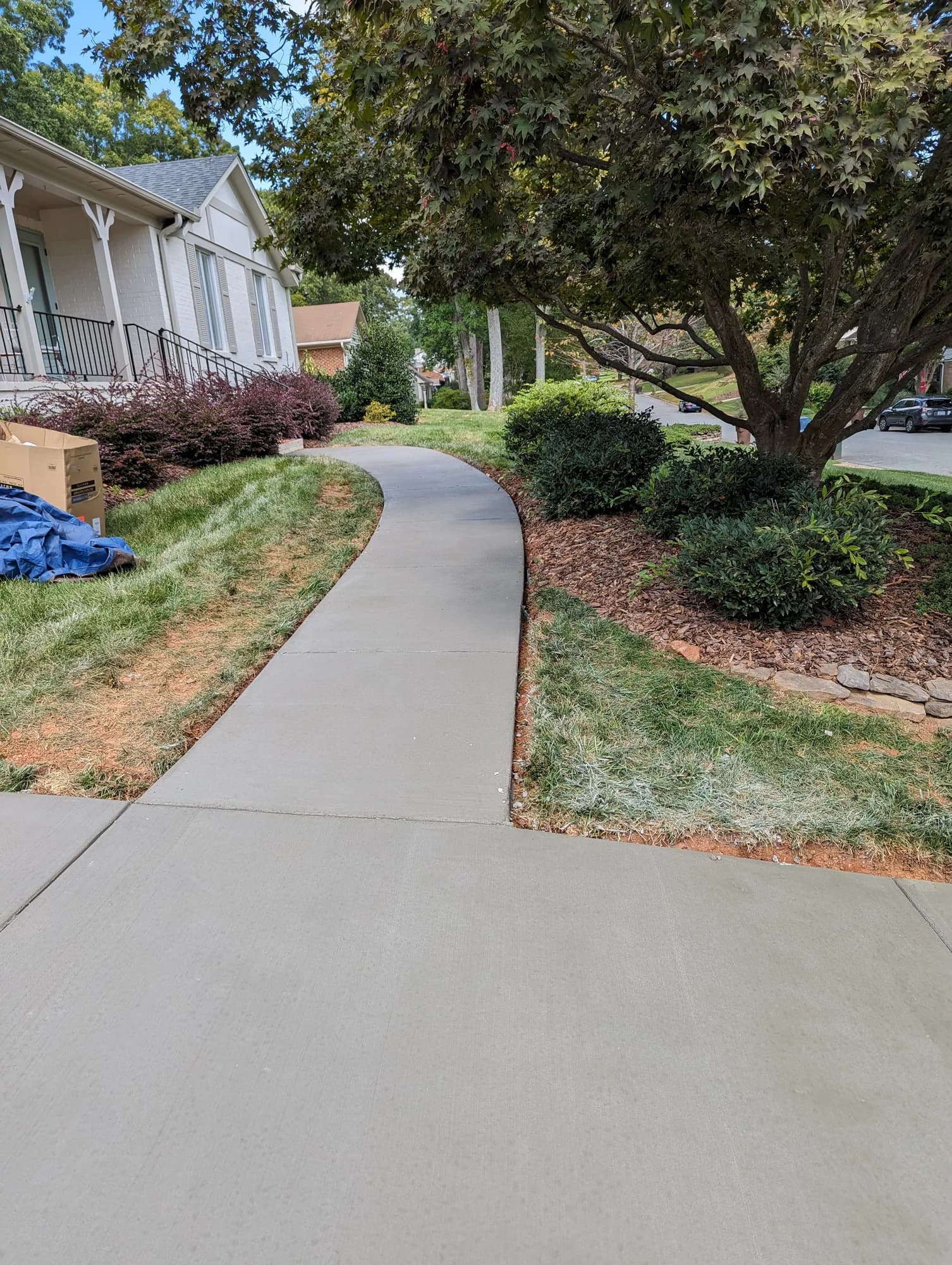 Curved concrete walkway winding through a landscaped yard